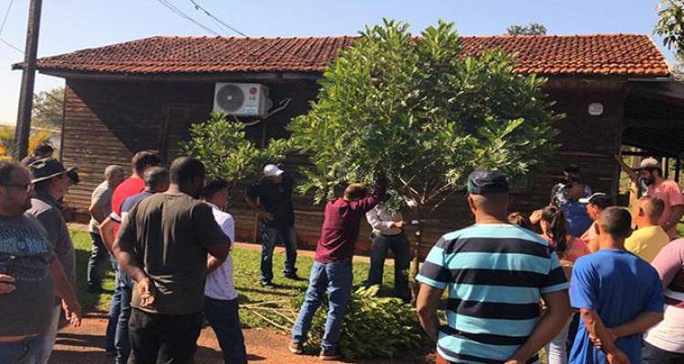 CIVAP EM AÇÃO: CURSO DE PODA URBANA CIVAP EM AÇÃO: CURSO DE PODA URBANA