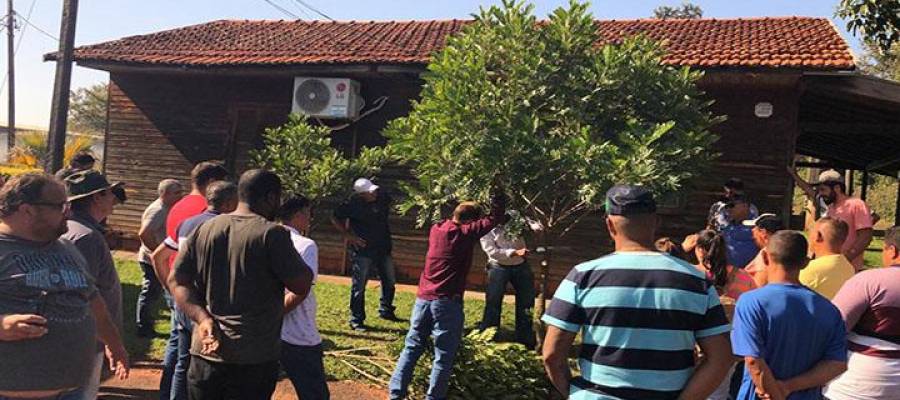 CIVAP EM AÇÃO: CURSO DE PODA URBANA CIVAP EM AÇÃO: CURSO DE PODA URBANA