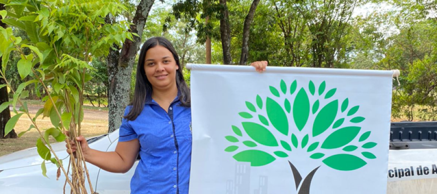 Arborização urbana: Municípios recebem primeiras mudas do programa "Arboriza CIVAP" Arborização urbana: Municípios recebem primeiras mudas do programa "Arboriza CIVAP"
