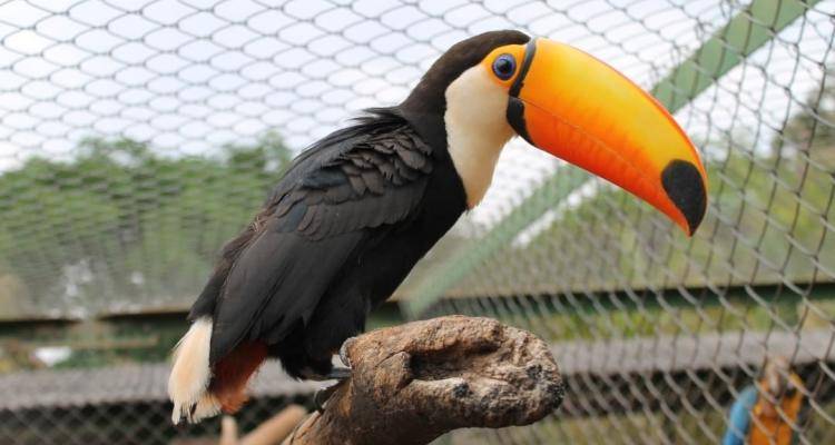 APASS de Assis recebe visita técnica do CIVAP APASS de Assis recebe visita técnica do CIVAP