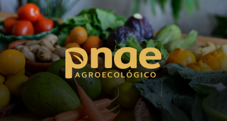 CIVAP mobiliza municípios para participação ao Edital PNAE Agroecológico CIVAP mobiliza municípios para participação ao Edital PNAE Agroecológico