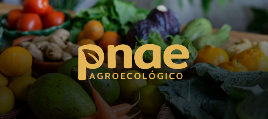 CIVAP mobiliza municípios para participação ao Edital PNAE Agroecológico CIVAP mobiliza municípios para participação ao Edital PNAE Agroecológico