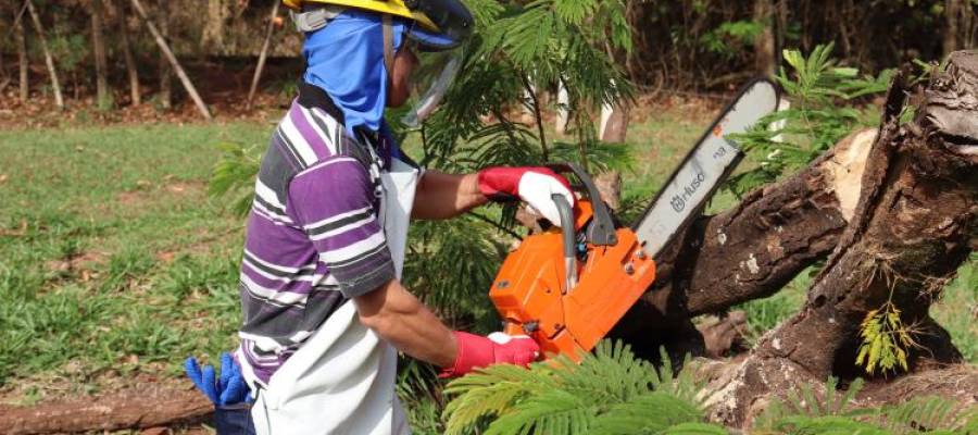 CIVAP realiza capacitação NR-12 de Operação de Motosserra e Motopoda em Assis CIVAP realiza capacitação NR-12 de Operação de Motosserra e Motopoda em Assis