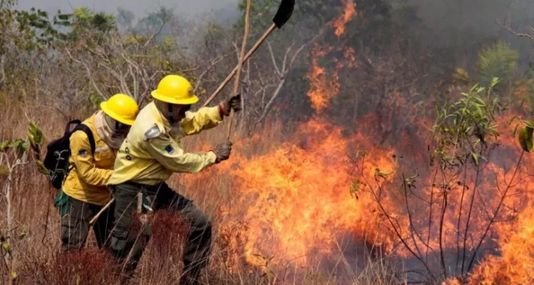 Defesa Civil do Estado realiza na próxima semana, em Assis, treinamento da Operação SP Sem Fogo 2026 Defesa Civil do Estado realiza na próxima semana, em Assis, treinamento da Operação SP Sem Fogo 2026