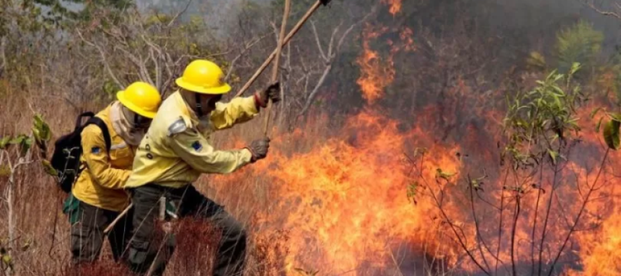 Defesa Civil do Estado realiza, em Assis, treinamento da Operação SP Sem Fogo 2026 Defesa Civil do Estado realiza, em Assis, treinamento da Operação SP Sem Fogo 2026