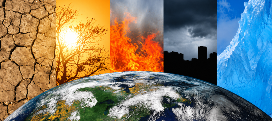 CIVAP promove palestra sobre adaptação às mudanças climáticas e reforça importância da arborização urbana CIVAP promove palestra sobre adaptação às mudanças climáticas e reforça importância da arborização urbana