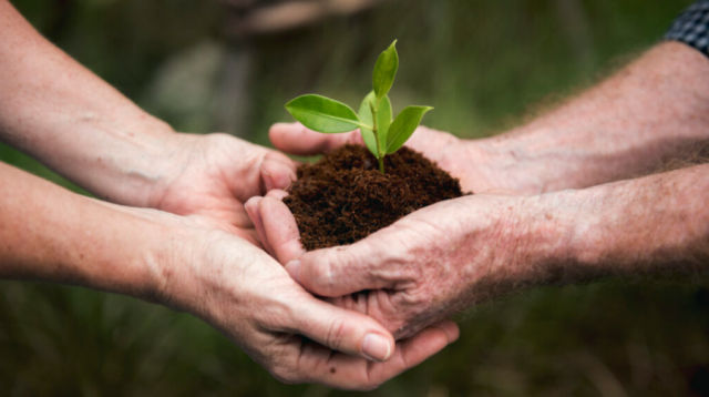 Junho Verde: CIVAP promove programação regional voltada à conscientização e sustentabilidade ambiental