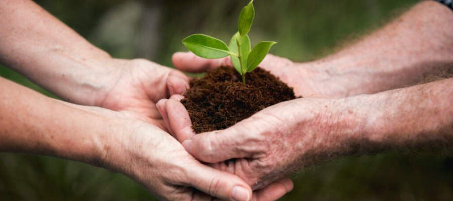 Junho Verde: CIVAP promove programação regional voltada à conscientização e sustentabilidade ambiental Junho Verde: CIVAP promove programação regional voltada à conscientização e sustentabilidade ambiental