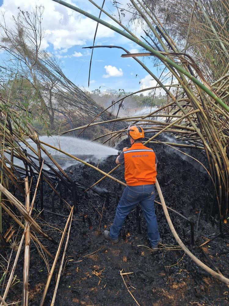 Tempestade de poeira causa estragos e mobiliza equipes em toda a região Tempestade de poeira causa estragos e mobiliza equipes em toda a região
