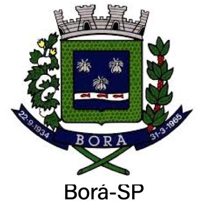 Borá